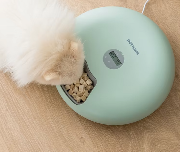 Smart pet feeder with digital display, ensuring accurate timed meals for your beloved pet.