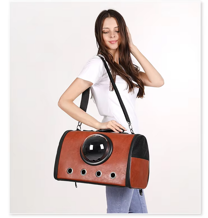 Secure pet travel bag for car rides, suitable for small dogs & cats. Features a mesh window.
