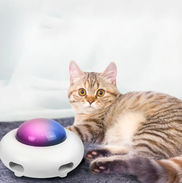 LED feather cat toy provides interactive entertainment, promoting playtime and stress relief for active cats.
