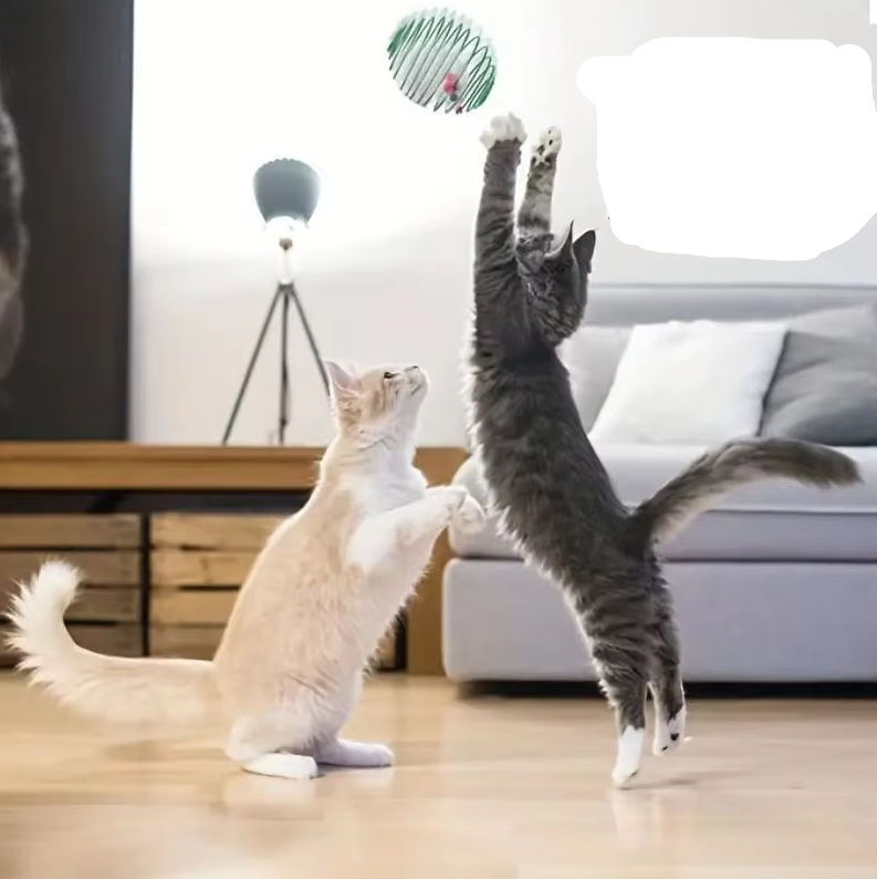 Cats' interactive spiral mouse toy set (3-piece) for active play & hunting fun. Great feline enrichment.