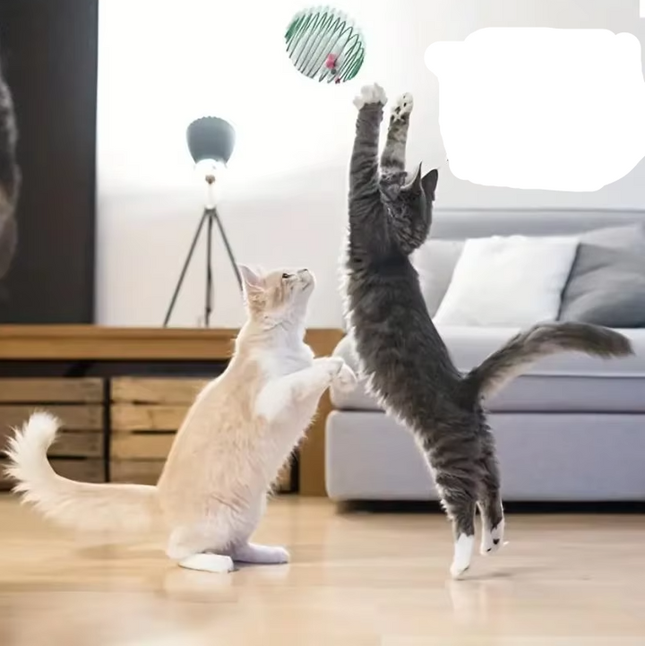 Cats' interactive spiral mouse toy set (3-piece) for active play & hunting fun. Great feline enrichment.
