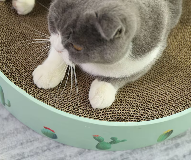 Durable modern cactus cat scratcher, a stylish board for feline play that protects furniture and enhances home decor.
