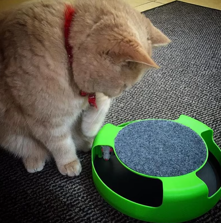 Fun interactive mouse toy for cats, promoting active pet play and enrichment.