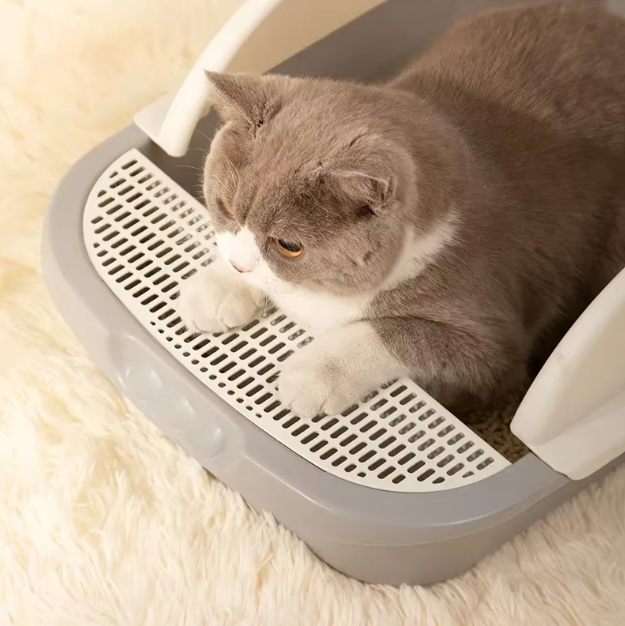 Gray high rim cat litter tray for superior pet hygiene. Durable, eco-friendly cat care solution.
