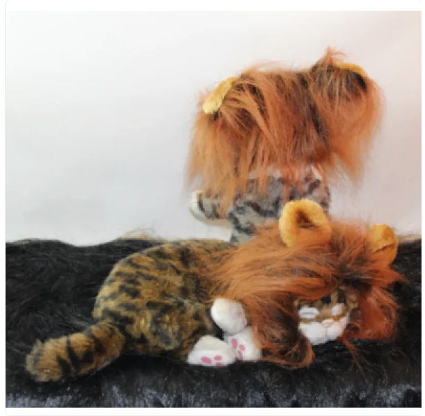 Cat's lion mane costume with ears for hilarious pet dress-up photos. Funny cat outfit & unique pet accessory.