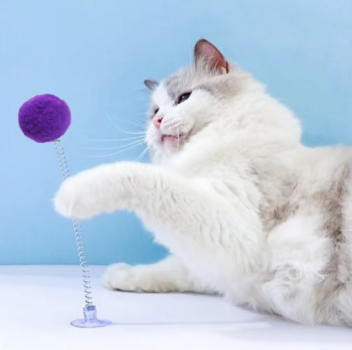 Interactive cat toy with strong suction cup base, spring, and colorful shuttlecock for feline playtime & exercise.