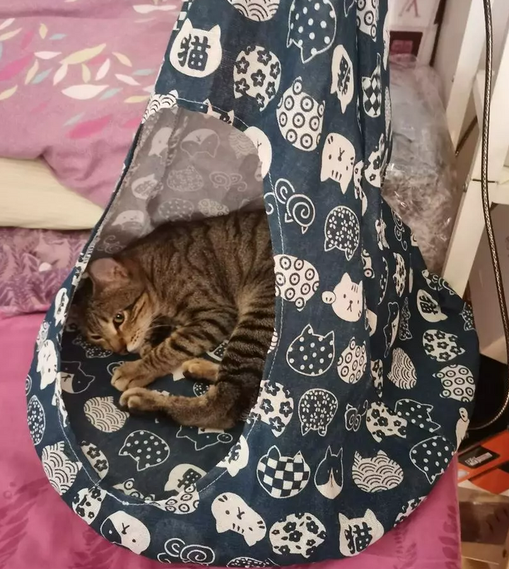Comfortable cat hammock bed tent, providing a secure spot for naps.