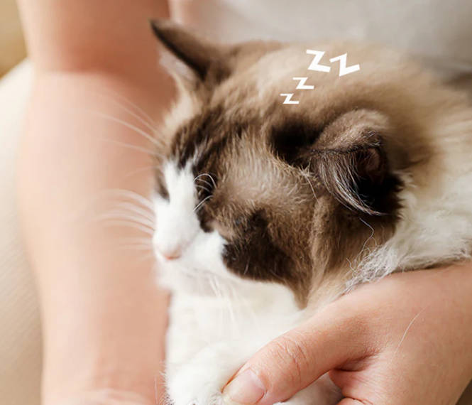 Cat nail grinder with LED screen, offering a safe & efficient way to trim claws with quiet technology.