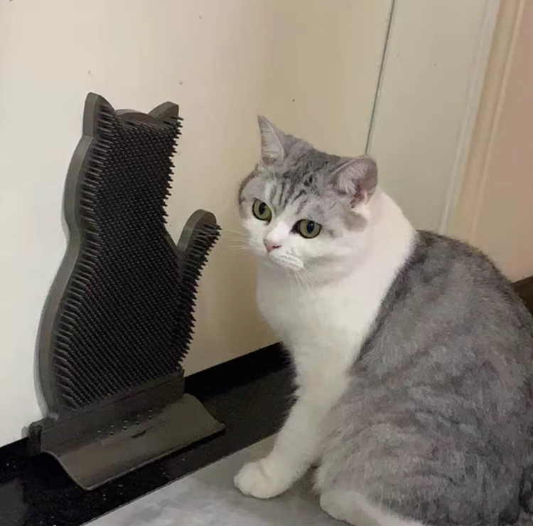 Versatile cat silicone towel holder, perfect for kitchen, bathroom, or playful home organization.