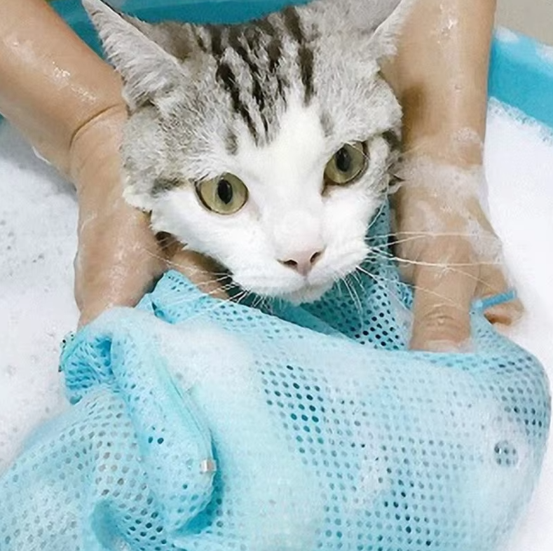 Front zipper mesh cat grooming bag for quick access during bathing, nail trims, and pet care.