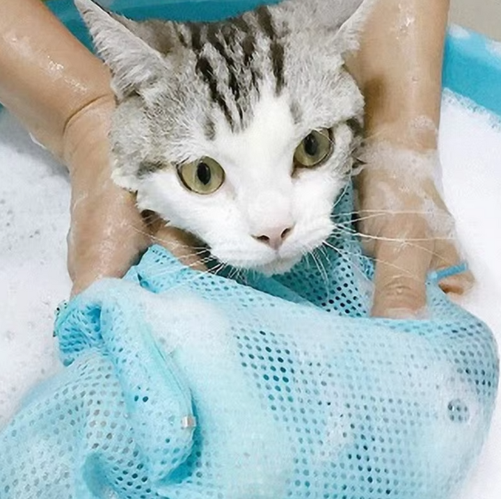 Front zipper mesh cat grooming bag for quick access during bathing, nail trims, and pet care.