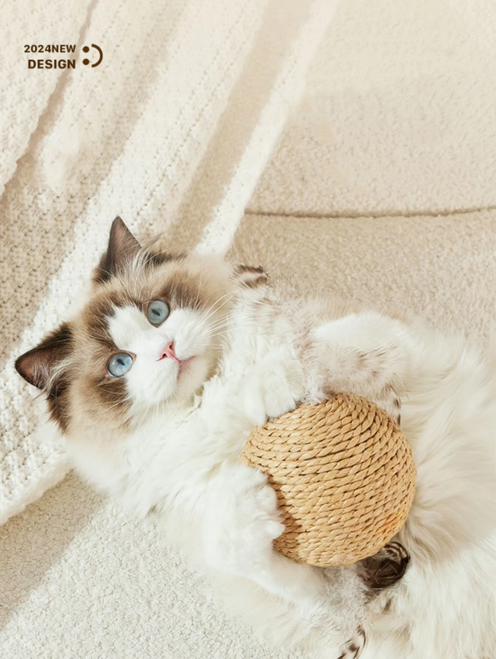 Healthy claws: natural sisal scratching ball, an essential pet accessory for active cats.