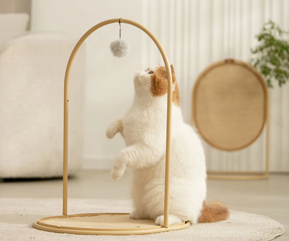 Modern cat scratching post, a play toy & grooming tool. Essential for healthy feline claws and active cats.