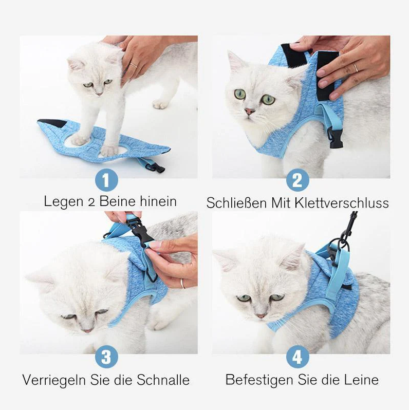 Breathable mesh cat harness & durable leash, a comfortable walking harness for daily adventures.