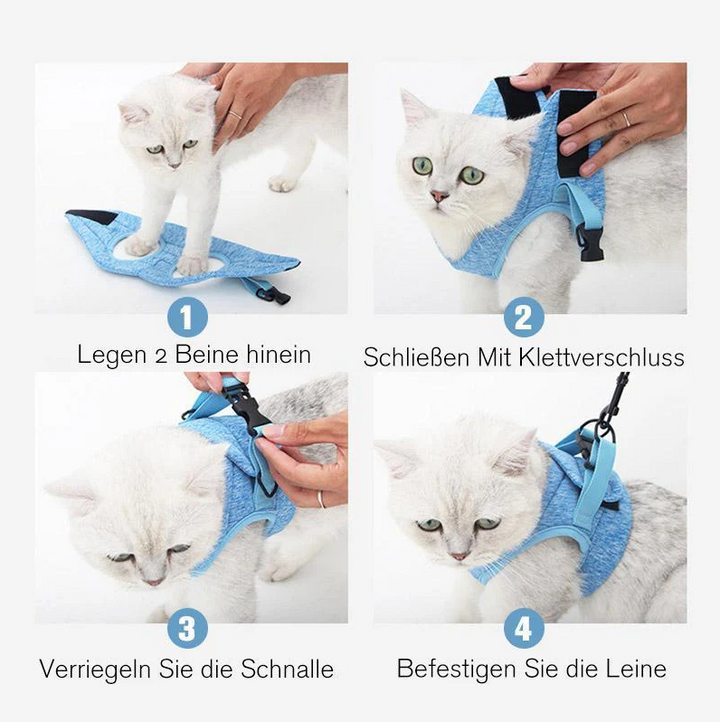 Breathable mesh cat harness & durable leash, a comfortable walking harness for daily adventures.