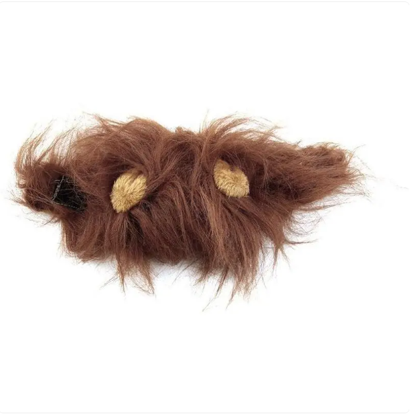 Pet dress-up: hilarious cat lion mane costume with ears. Great for Halloween & funny feline photoshoots.