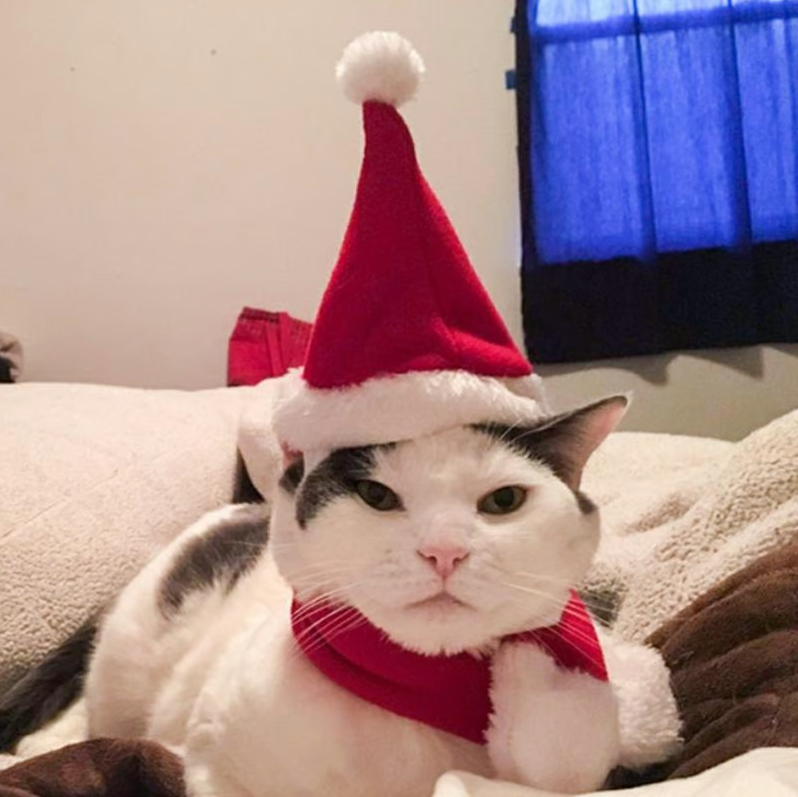 Soft knit pet Christmas hat & scarf set, comfortable winter apparel for dogs & cats.