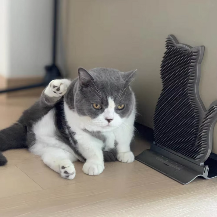 Cute cat silicone anti-slip towel holder for kitchen & bath organization, keeping towels tidy.