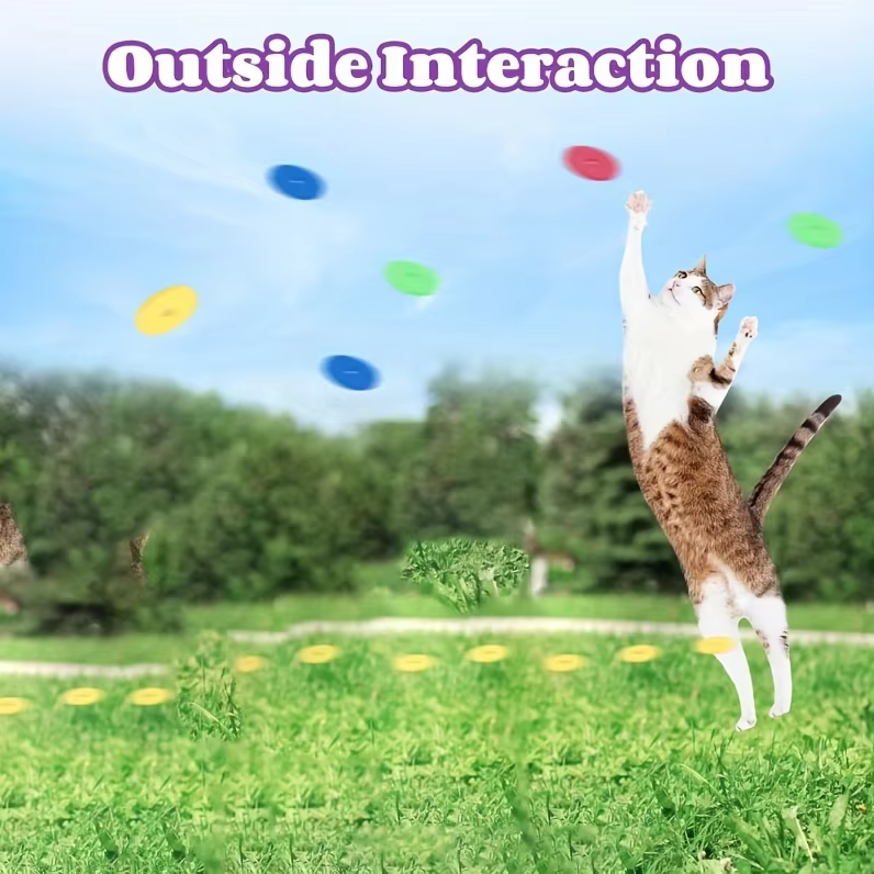 Durable cat disc launcher toy gun with colorful discs, perfect for engaging interactive feline play.