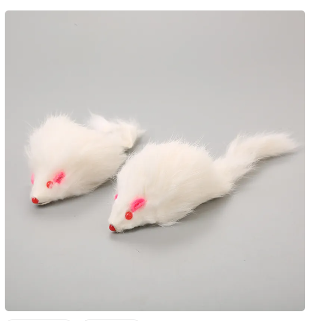 Pet supplies: Interactive mouse cat toy on a string, a durable toy for indoor cats and enrichment.