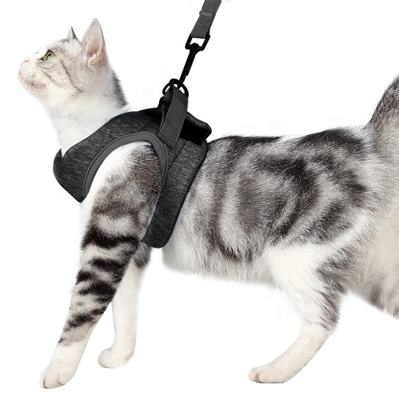 Easy-to-adjust cat harness and leash set, providing a secure & comfortable fit for all cats.