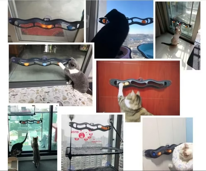 Window Ball Track Cat Toy: interactive suction cup design provides mental & physical exercise for playful cats.