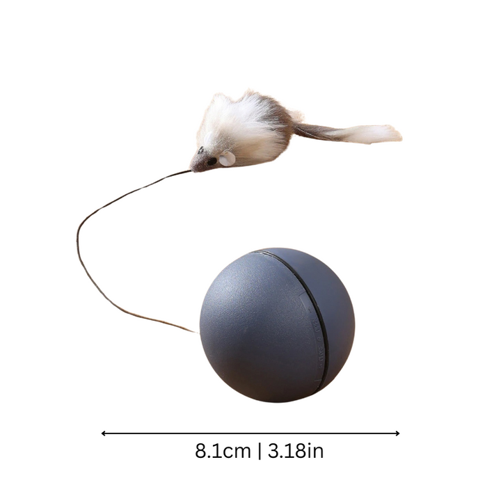 Interactive rolling cat toy ball for active play, mental stimulation, and hunting simulation for pets.