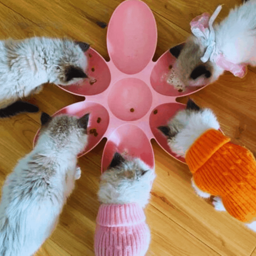 Multi-color flower-shaped 6-bowl cat feeder, a vibrant pet dish for food and water.