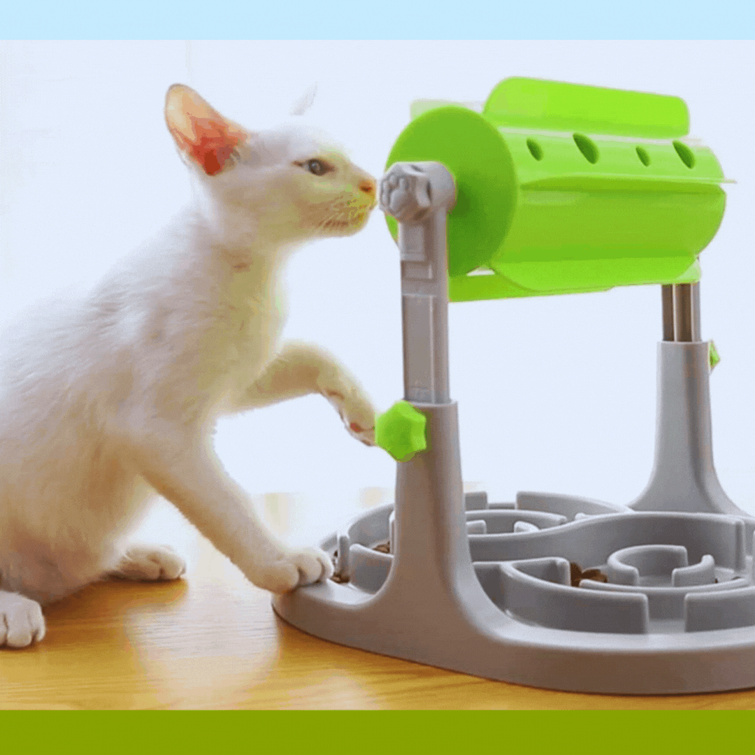 Interactive dog slow feeder toy, promoting healthy digestion & preventing gobbling. Pet puzzle for mental enrichment.