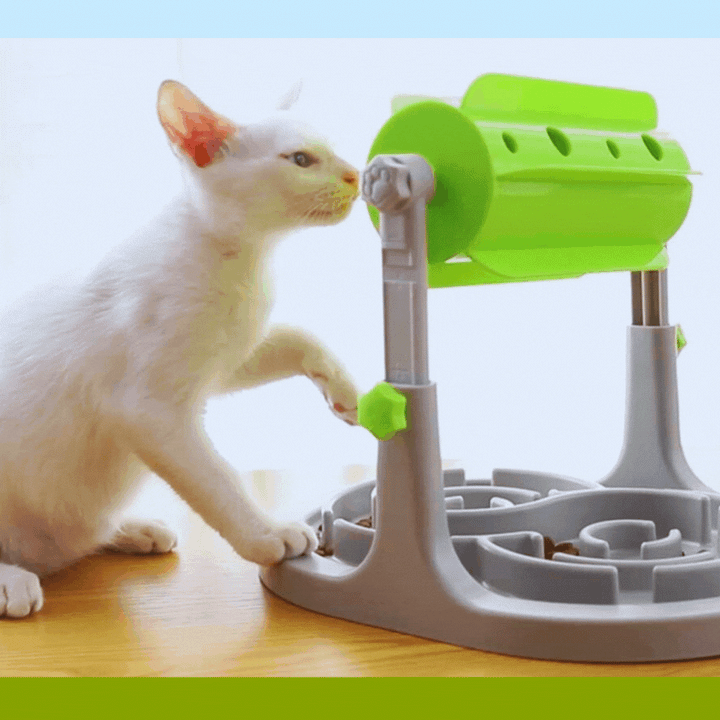 Interactive dog slow feeder toy, promoting healthy digestion & preventing gobbling. Pet puzzle for mental enrichment.
