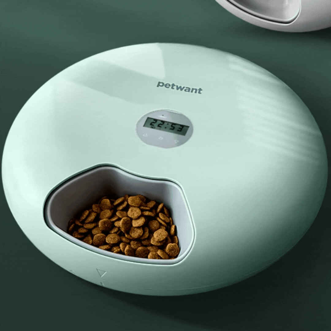 High-tech digital pet food dispenser bowl, ideal for managing timed meals for pets.