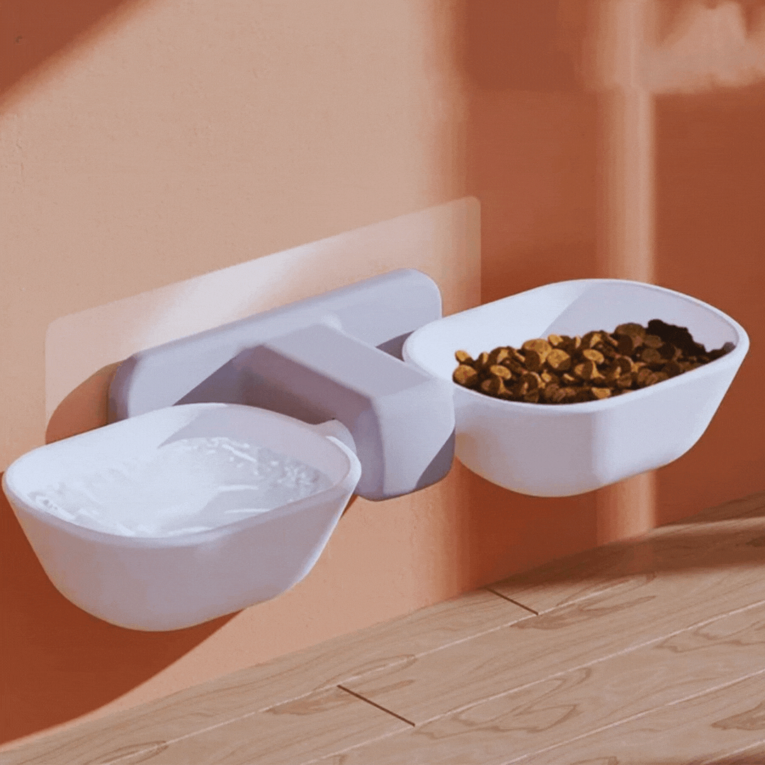 Convenient wall mount pet bowls for food and water. A practical, elevated feeder for healthy pet eating.
