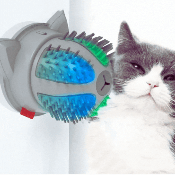 Feline electric self-grooming brush with catnip, offering a soothing pet massage. Dual power for convenience.