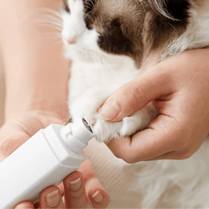 Quiet dog nail trimmer with digital LED display, ensuring gentle and precise paw care for your pet.