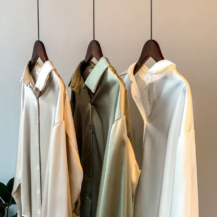 Versatile women's elegant blouse, a long-sleeve top for both casual and formal sophisticated fashion.