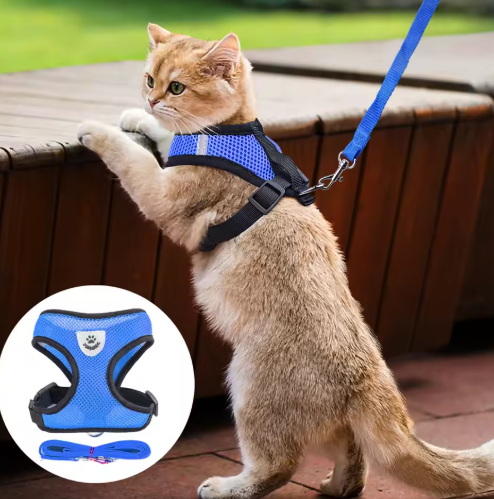 Adjustable cat harness and leash set for comfortable and secure feline walking and outdoor adventures.