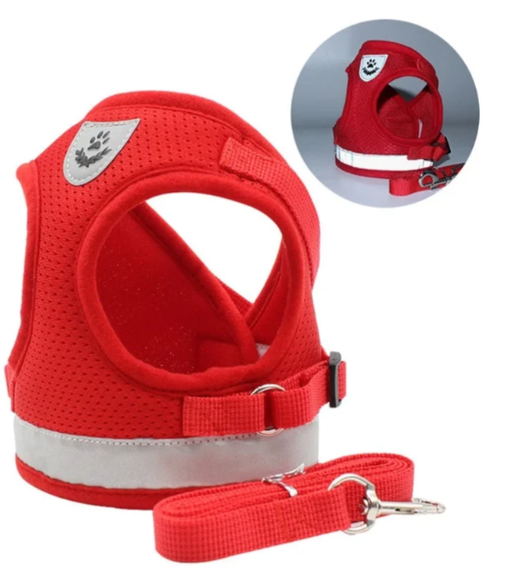 Secure adjustable kitten harness and leash set, perfect for small cat walking & outdoor adventures.