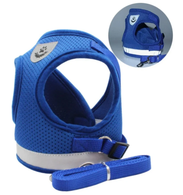 Adjustable pet harness and leash set for cats, ensuring a comfortable & secure fit for any feline.