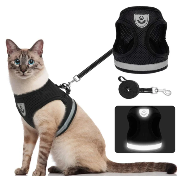 Durable cat harness & leash set, ideal for daily walks, outdoor training, and safe pet adventures.