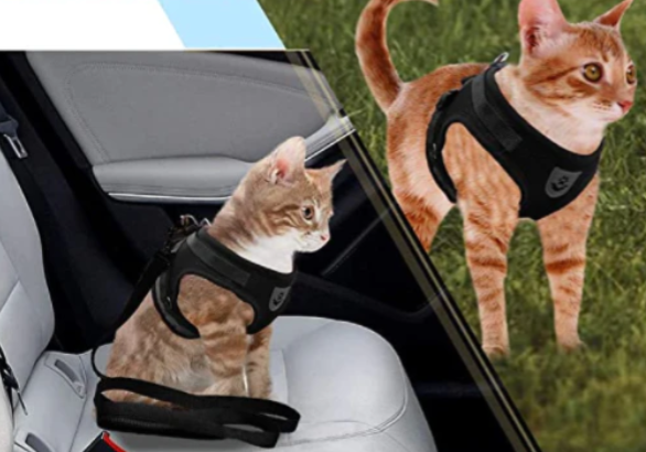 Breathable and lightweight cat walking harness with a matching secure pet leash for comfort.