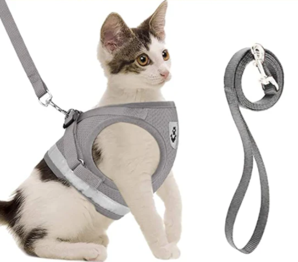 Easy-to-use adjustable cat harness and leash set for secure, comfortable outdoor walks with your pet.