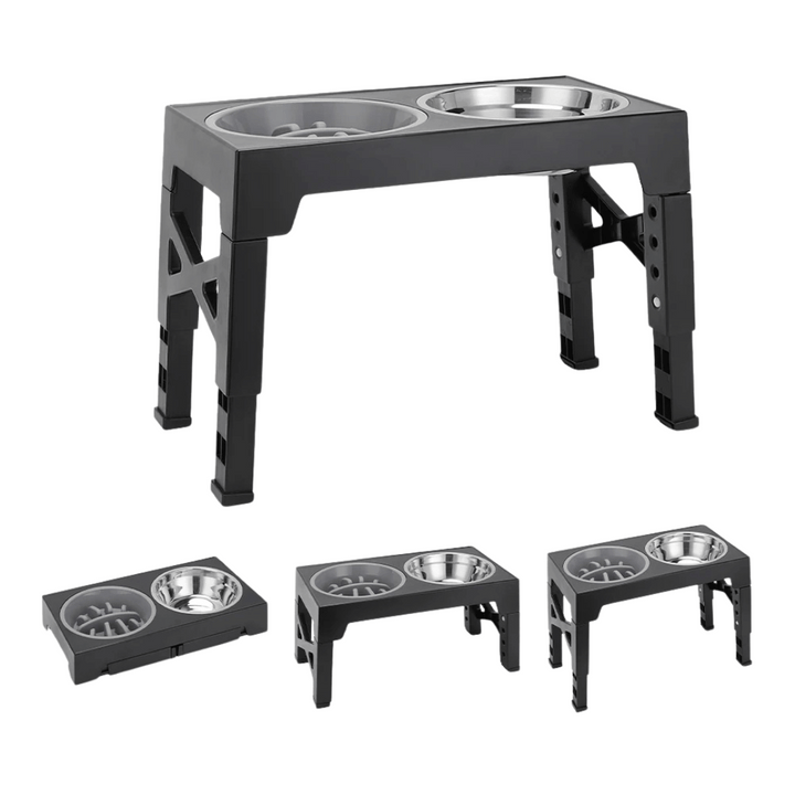 "Adjustable tilt raised dog bowl stand with stainless and slow-feed bowls, ergonomic design for comfortable pet feeding."
