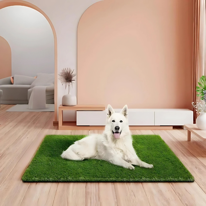 All-weather artificial grass potty mat, PawLawn, for indoor/outdoor dog training. Easy-clean pet toilet solution.