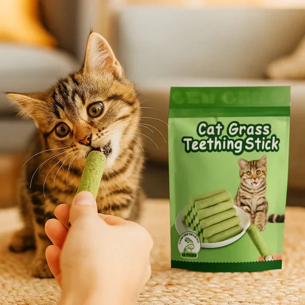 Healthy cat grass sticks, a natural cat chew toy for dental cleaning, improved digestion & hairball prevention.