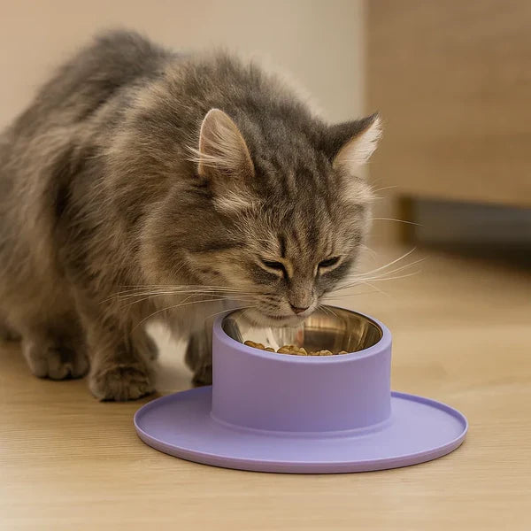 Hygiene-focused stainless steel cat bowl, easy to clean & durable. A non-slip pet feeder for your feline friend.