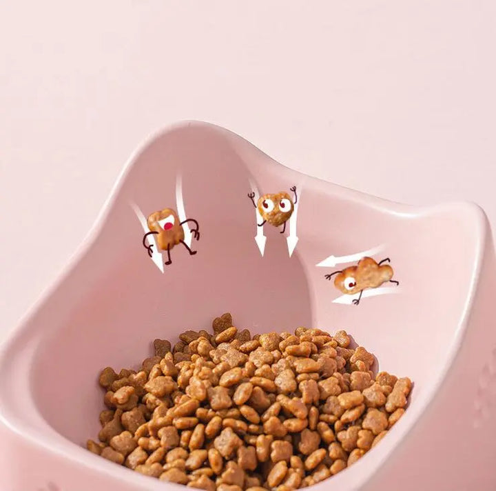 Comfort design raised cat bowl, ergonomic tilt reduces neck strain. Ideal pet feeder for healthy eating.