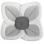 Grey leaves