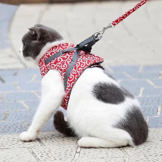 Breathable cat harness & leash for safe outdoor adventures; adjustable, secure fit.