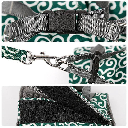Adjustable cat harness and matching leash for secure, breathable outdoor adventures.