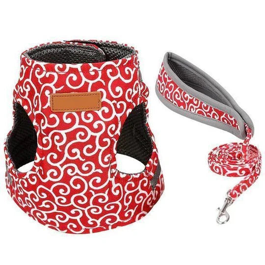 Durable cat leash and breathable harness ensuring comfort for outdoor feline walks.